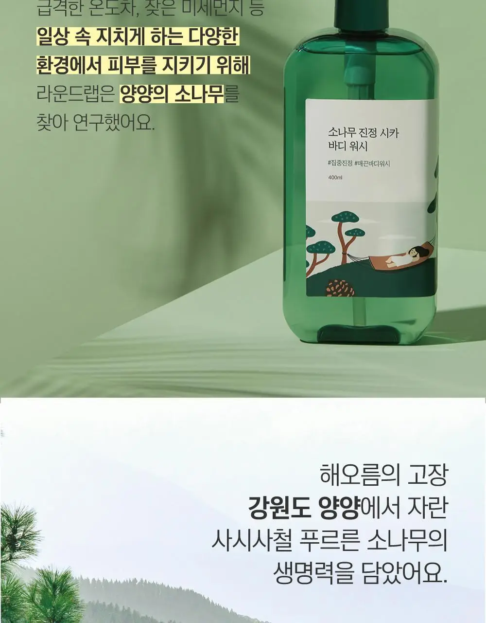 [매끈바디] 라운드랩 소나무 진정 시카 바디 워시 400ml 상세페이지 5
